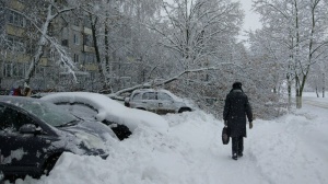 Снегопад наломал дров в Коломне