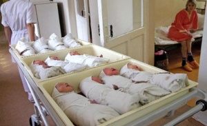 Рождаемость в Подмосковье увеличилась на 2% в этом году