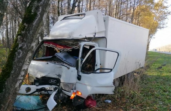 Водитель грузовика пострадал в ДТП в Луховицах