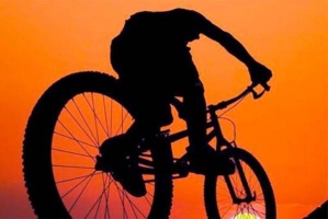 В Коломне поймали похитителя велосипедов
