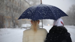За выходные в Москве и области выпадет более 5 мм снега