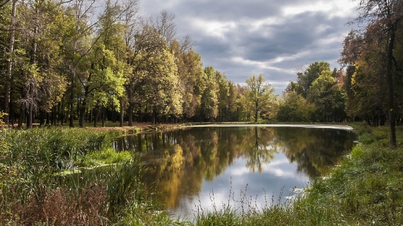 Пойма реки в парке усадьбы "Кривякино" преобразится