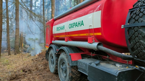В Егорьевских лесах за два дня потушили два пожара 