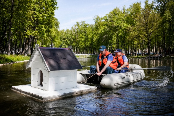 Плавучий дом для пернатых торжественно спустили на воду
