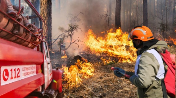 С понедельника в лесах Подмосковья начинается пожароопасный сезон