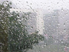 Хорошего понемногу: в Московскую область идут дожди и похолодание
