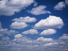 Сухая и облачная погода ожидается в Подмосковье в пятницу