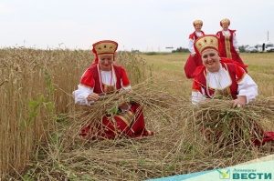 Луховицкие аграрии отметили праздник первого снопа