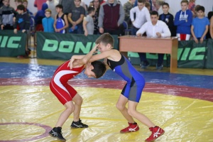 XIII традиционный турнир по греко-римской борьбе прошел в Луховицах