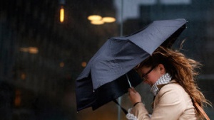 МЧС предупреждает о сильном ветре и дожде в Подмосковье в ближайшие часы