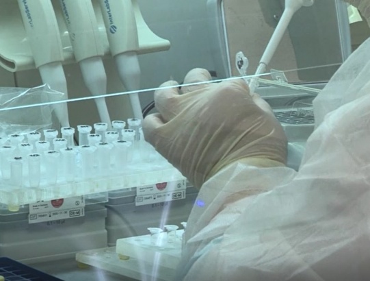 В Коломне заработала государственная лаборатория по исследованию на коронавирусную инфекцию