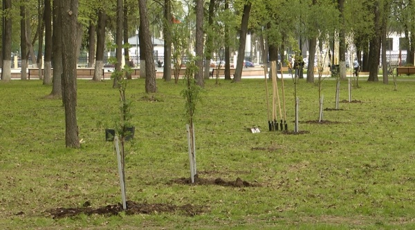 В Коломне и Озёрах прошли традиционные весенние субботники и акция "Сад памяти"