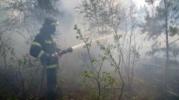 Пожары в Рязани собираются потушить за неделю