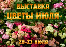 В Доме Озерова открывается выставка "Цветы июля"
