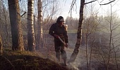 За сутки в Подмосковье произошел один лесной пожар