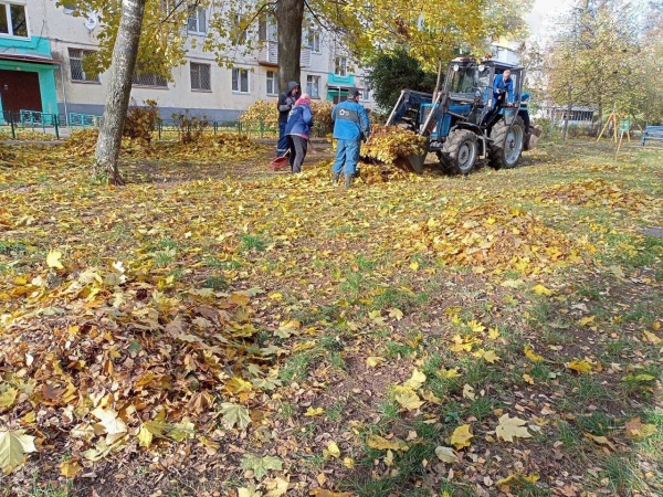 Из коломенских дворов вывезли уже порядка 50 кубометров листвы