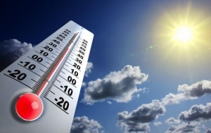 Новые температурные рекорды ожидают Подмосковье на этой неделе