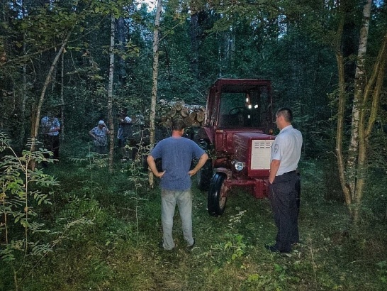 В лесу под Егорьевском пресекли незаконную вырубку