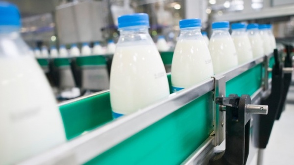 Наибольшее количество молока в сутки производится в Коломне