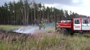 Природный пожар зафиксировали вчера в Луховицком районе