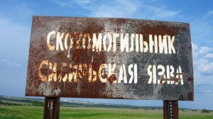В Московской области насчитывается около 40 бесхозных скотомогильников с сибирской язвой