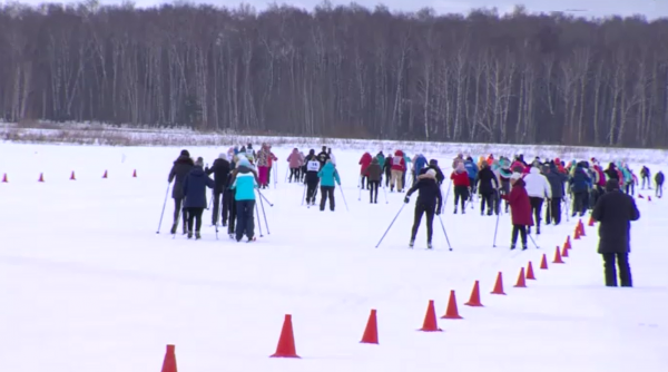 Спортсмены от мала до велика вышли на "Коломенскую лыжню"