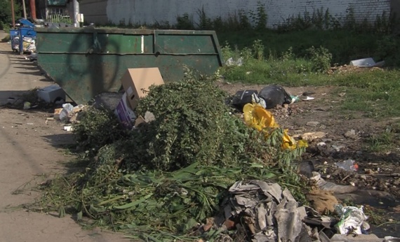Сброс строительных отходов приводит к неблагоприятной экологической обстановке
