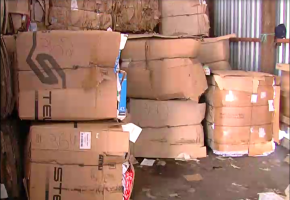 Коломенские школьники собрали больше 100 тонн макулатуры