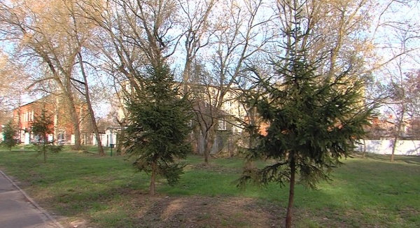 Парк на улице Левшина благоустроят