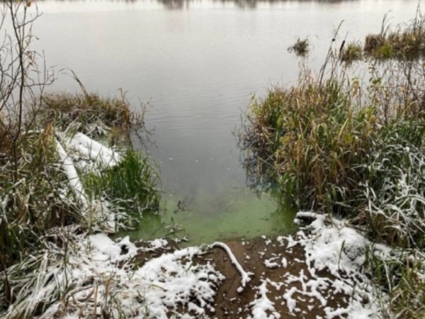 Коломенскому рыбному хозяйству грозит штраф за загрязнение водоохранной зоны