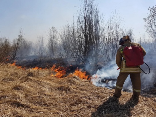 11 пожаров произошло в Коломне на прошлой неделе
