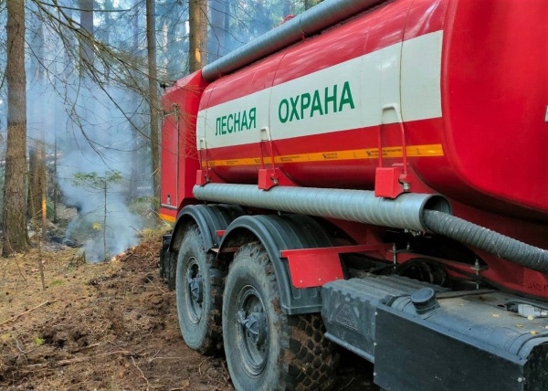 В Комитете лесного хозяйства подвели итоги пожароопасного сезона