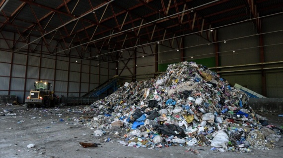 В Подмосковье за лето переработали 600 тысяч тонн отходов
