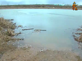 Замор рыбы на Пестриковском озере расследует прокуратура