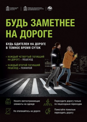 Коломенские госавтоинспекторы просят пешеходов быть заметнее на дороге