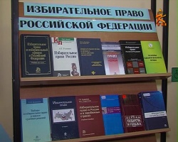 "Что бы я сделал для Московской области, если бы был депутатом"