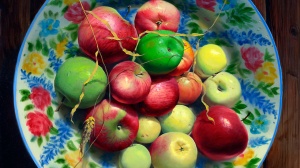 2 сентября Коломна угостит "Антоновскими яблоками"