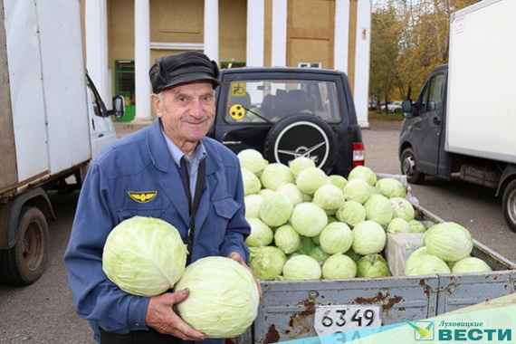 В Луховицах продали 12 тонн овощей
