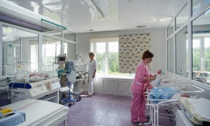 Московская область занимает первое место в Центральном федеральном округе по рождаемости