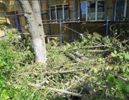 У медицинской клиники на улице Зеленой незаконно спилили деревья
