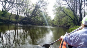 Традиционная гонка на воде «Осетрина» пройдет в этом году на реке Северке