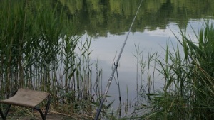 Конкурс по ловле рыбы среди инвалидов пройдет в Коломенском районе