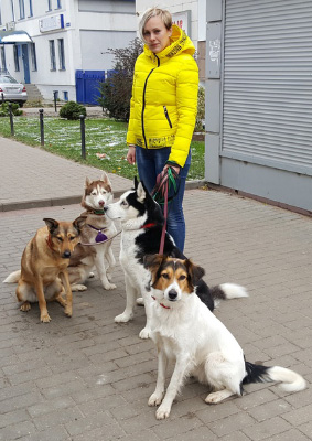 Экскурсия по кремлю в сопровождении собаки-терапевта