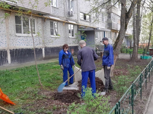 227 коломенских дворов привели в порядок сотрудники ДГХ