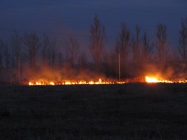 За прошедшие выходные пожарные выезжали на тушение горящей травы 12 раз