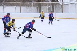 Луховицкая федерация хоккея впервые разыграла кубок