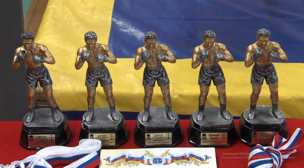 Коломенские боксёры покажут красивый бой