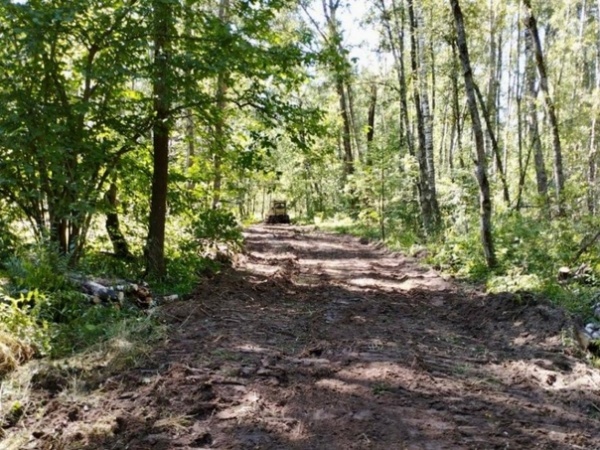 В Коломне лесные дороги для защиты от пожаров привели в порядок 