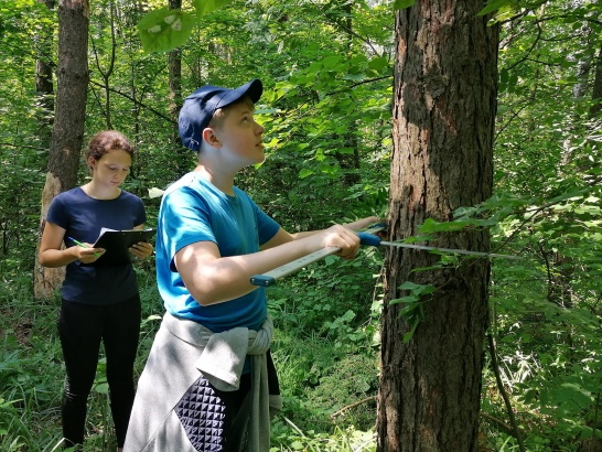 Подростков учат ориентироваться в лесу