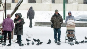 В пятницу в Подмосковье ожидаются осадки и плюсовая температура